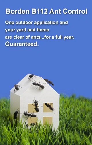 Pest Control South Carolina