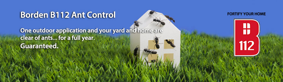 Pest Control South Carolina