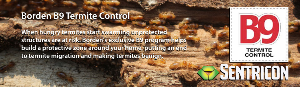 Pest Control South Carolina